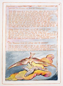 Visions of the Daughters of Albion: 